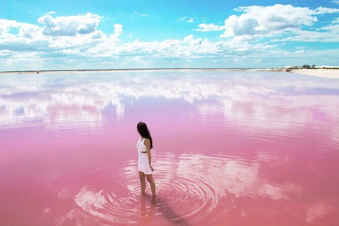 Las Coloradas and Rio Lagartos only from Merida - Authentic Perspectives from Participants