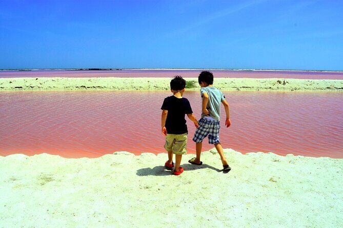 Las Coloradas and Rio Lagartos Tour with All Inclusive - Exploring the Las Coloradas and Rio Lagartos Tour: What You Need to Know