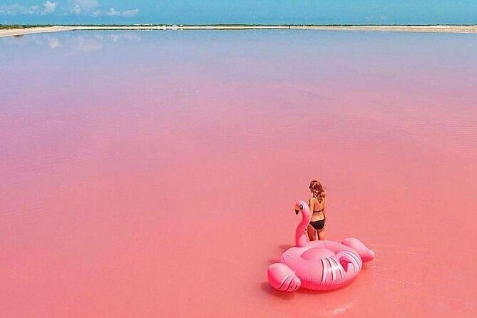 Las Coloradas and Rio Lagartos Tour with All Inclusive - Key Points