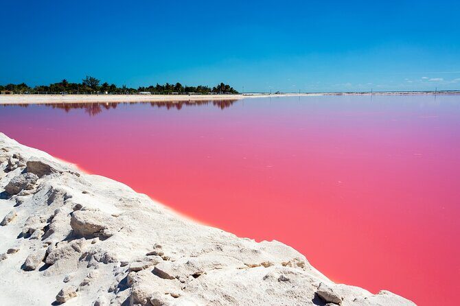 Las Coloradas and Rio Lagartos Tour with All Inclusive - Who Should Consider This Tour?