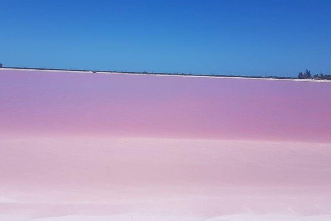 Las Coloradas - Who Is This Tour Best For?