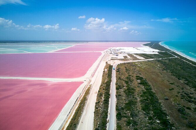Las Coloradas Pink Lake & Rio Lagartos Guided Tour - An in-depth look at the Las Coloradas & Rio Lagartos experience