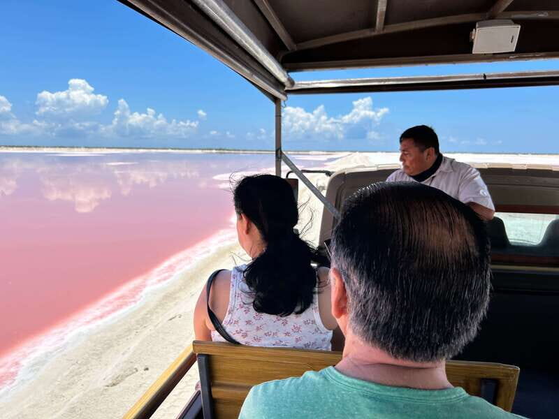 Las Coloradas: Pink Lakes Safari Tour - Practical Tips for Your Visit