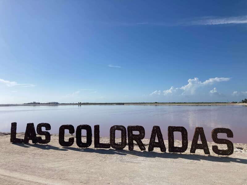 Las Coloradas: Pink Lakes Safari Tour - Who Should Consider This Tour?