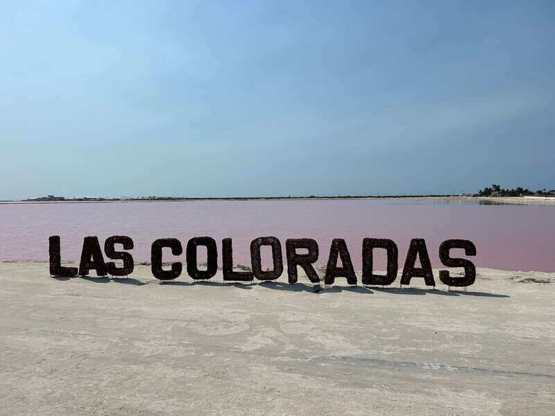 Las Coloradas: Pink Lakes Safari Tour - Final Thoughts