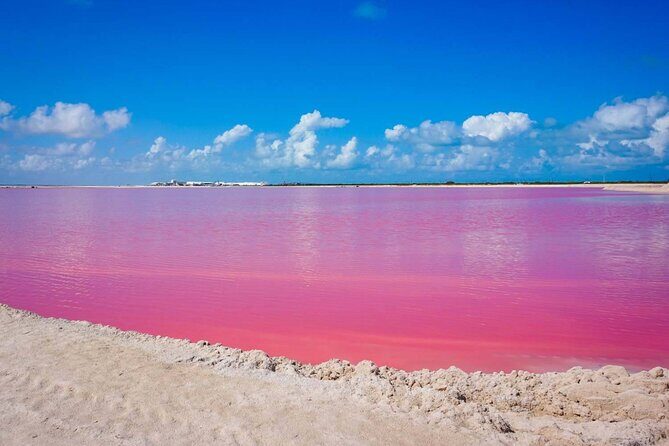 Las Coloradas, Río Lagartos and Playa Cancunito Tour from Mérida - Key Points