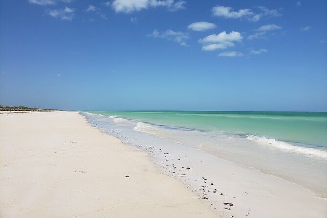 Las Coloradas, Río Lagartos and Playa Cancunito Tour from Mérida - Final Thoughts