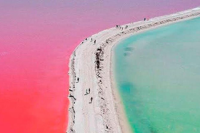 Las Coloradas & Rio Lagartos Tour from Cancún - Final Thoughts