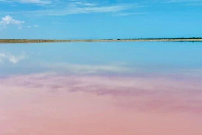 Las Coloradas & Río Lagartos with boat & Lunch from Mérida - Is It Worth the Price?