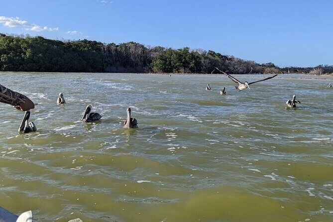 Las Coloradas Tour! Boat Ride, Lunch & Rio Lagartos from Cancun - FAQs