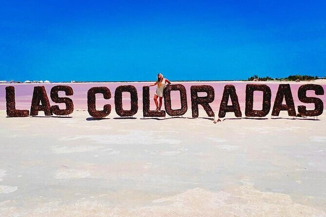 Las Coloradas Tour to Pink Lakes and Wildlife Wonders - The Journey Begins: Pickup and Transportation