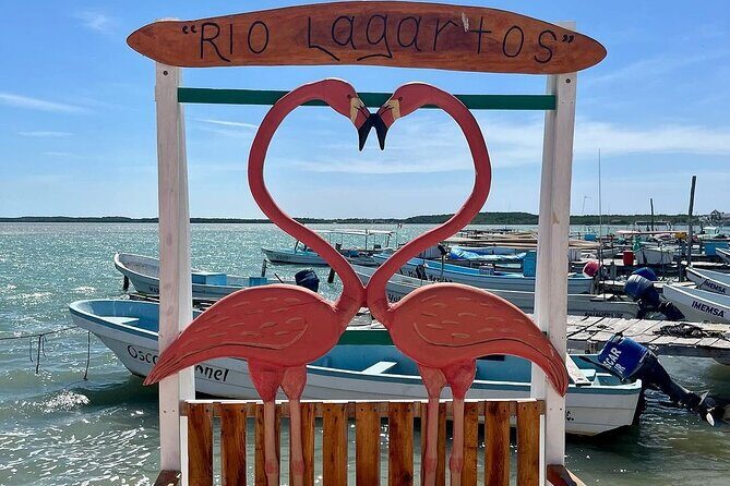 Las Coloradas Tour to Pink Lakes and Wildlife Wonders - Visiting the Crocodile Farm