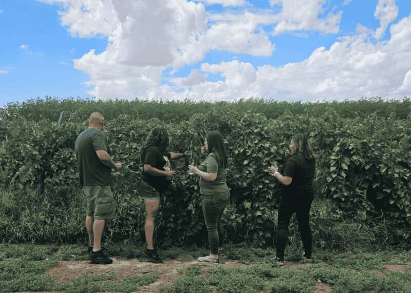 Las Cruces/El Paso: Weekend Wine Tour to three wineries - Final Thoughts