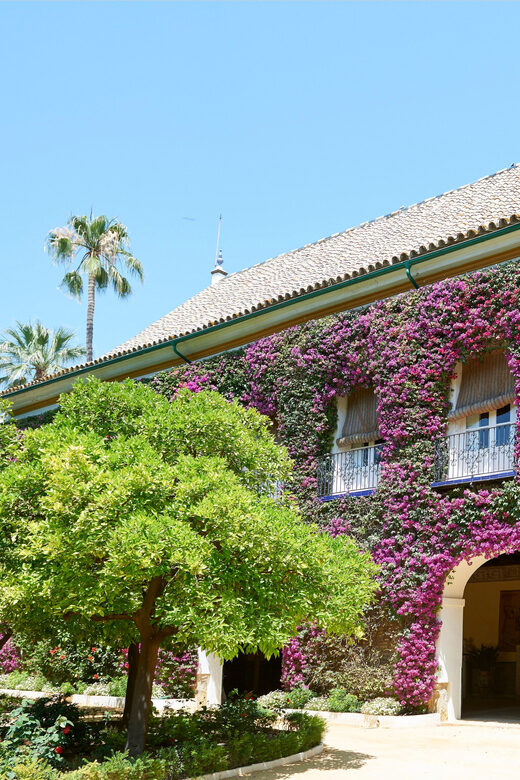 Las Dueñas Palace Entry Ticket and Audio Guide - Practical Details and Tips