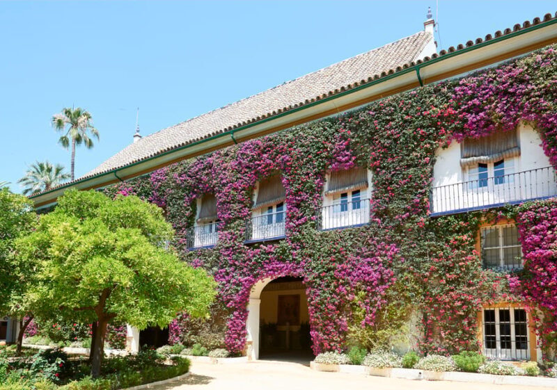 Las Dueñas Palace Entry Ticket and Audio Guide - Final Thoughts: Who Should Consider This Experience?