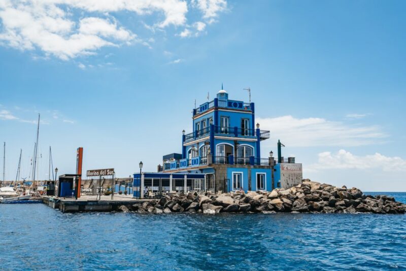 Las Galletas: Whale & Dolphin Tour with Local Skipper - Frequently Asked Questions