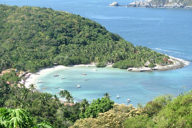 Las Gatas Kayaking and Snorkeling Tour - Frequently Asked Questions