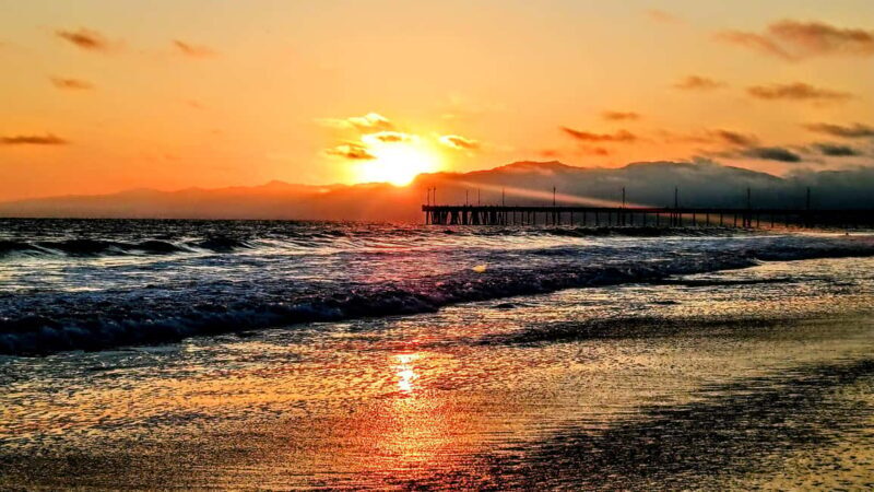 LA's Most Romantic Luxury Wine & Dine Boat Cruise & Sealions - Introduction