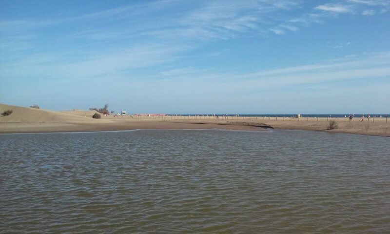 Las Palmas: 8-Hour Gran Canaria Island Highlights Tour - What Makes This Tour Stand Out?