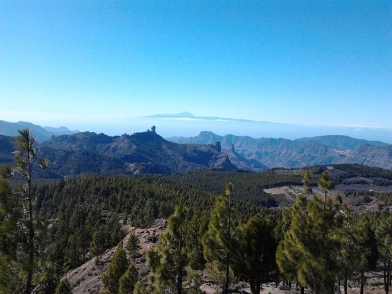 Las Palmas: 8-Hour Gran Canaria Island Highlights Tour - Final Thoughts: Is This Tour Right for You?