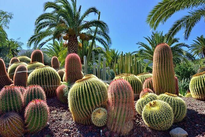 Las Palmas, Botanical Garden & Bandama Crater tour - Gran Canaria - FAQ