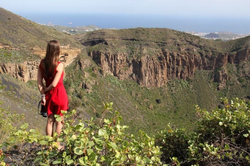 Las Palmas, Botanical Gardens and Bandama Volcano Tour - The Experience from Travelers