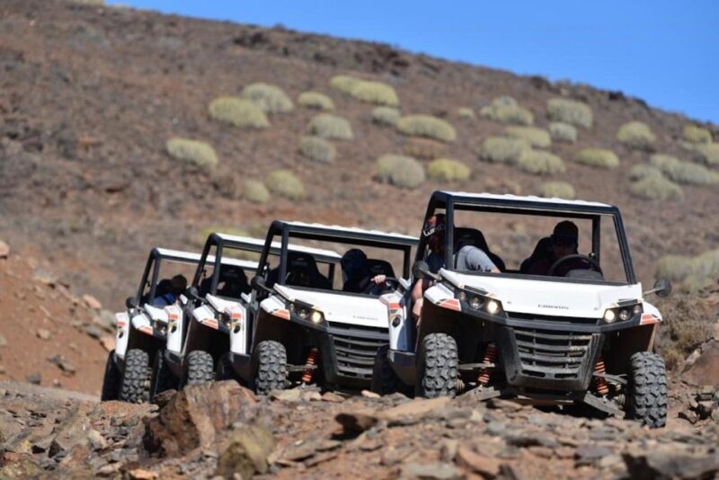 Las Palmas: Gran Canaria Guided Buggy Tour - Exploring Gran Canaria on a Guided Buggy Tour in Las Palmas