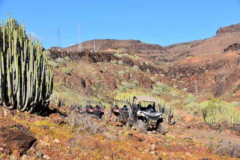 Las Palmas: Gran Canaria Guided Buggy Tour - Practical Details and Considerations
