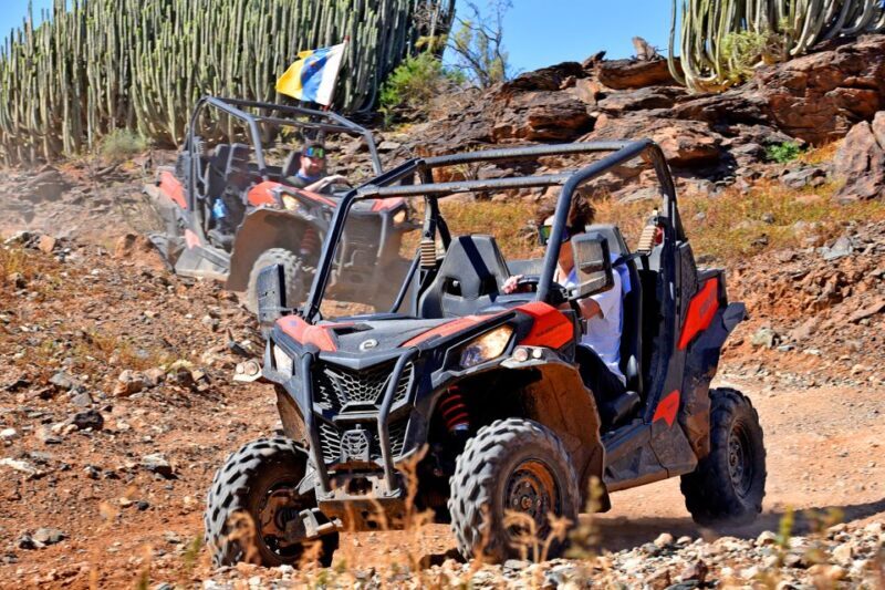 Las Palmas: Gran Canaria Guided Buggy Tour - Frequently Asked Questions