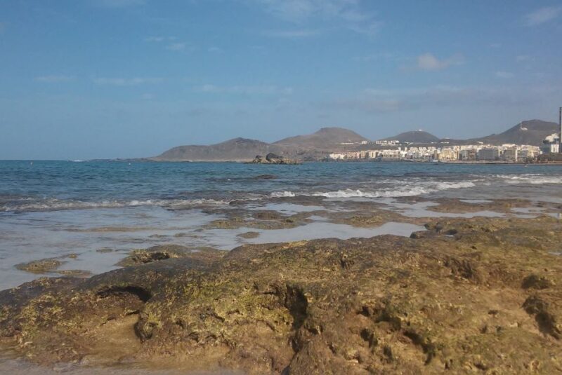 Las Palmas: Las Canteras Beach Snorkeling Trip - What to Expect From This Snorkeling Trip
