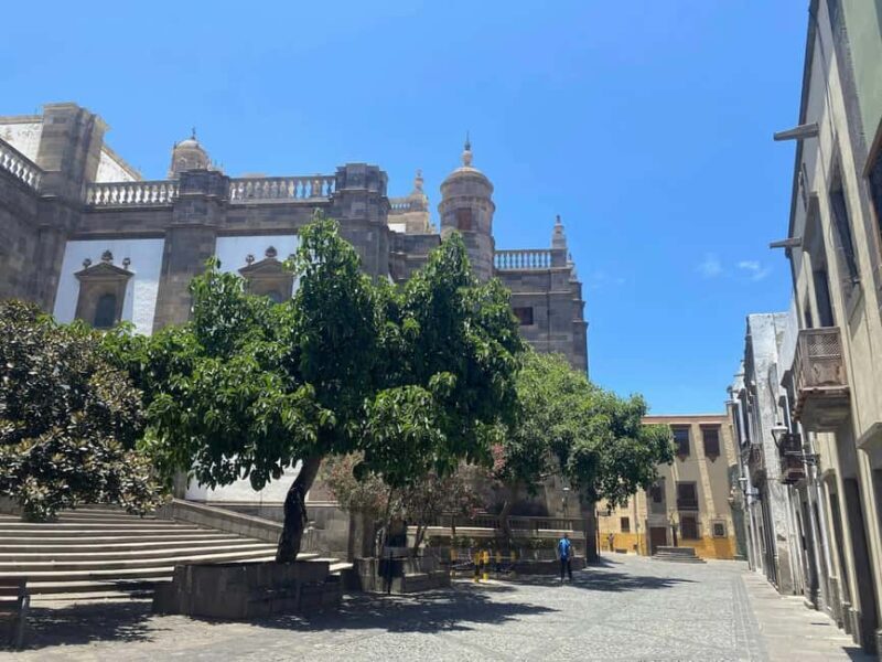 Las Palmas Sight and Shopping Full Day Tour - Who Is This Tour Best For?