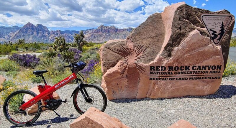 Las Vegas 3-Hour Red Rock Canyon Electric Bike Tour - The Practical Side: Logistics and Requirements