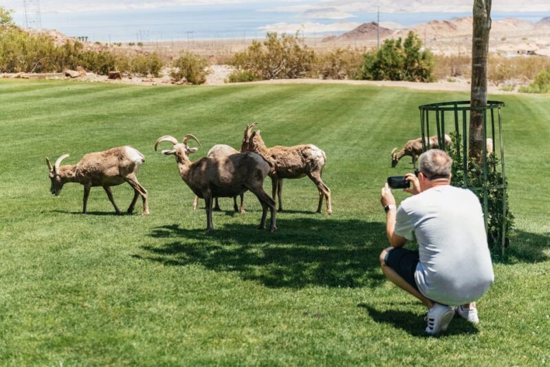 Las Vegas: 3-Hour VIP Hoover Dam Small-Group Mini Tour - Final Thoughts