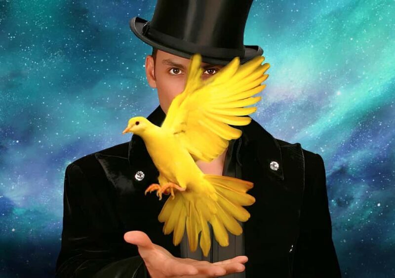 Las Vegas: Allstars Of Magic - What Is the Allstars Of Magic Experience Really Like?