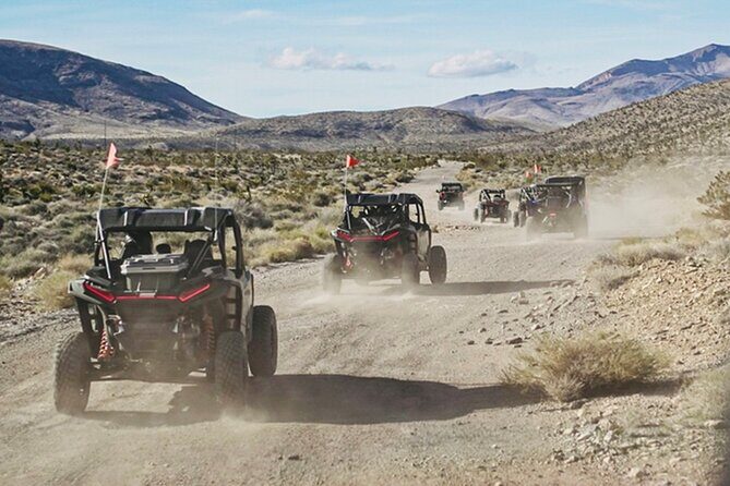 Las Vegas ATV Tour with Free Transportation - The Practical Side: What You Need to Know
