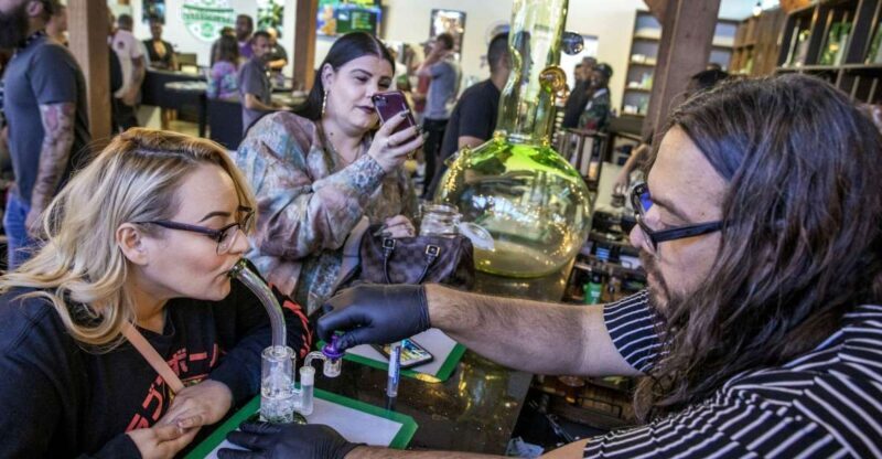 Las Vegas: Cannabis Tour with Weed Lounge & Party Bus - What to Expect from the Tour