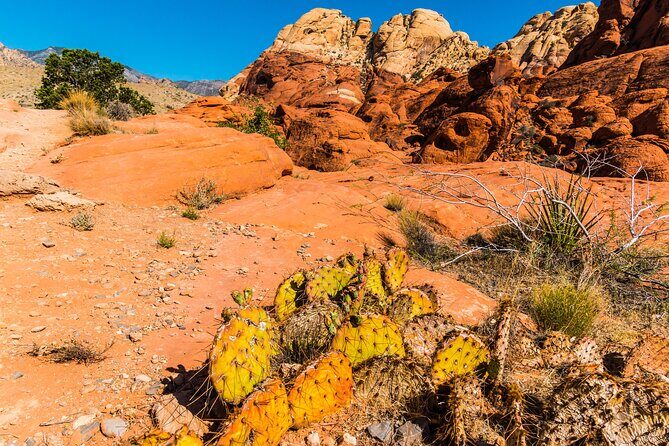 Las Vegas Day Trips: 3-Day Self-Guided Audio Tour - Day 3: Death Valley’s Unique Landscape