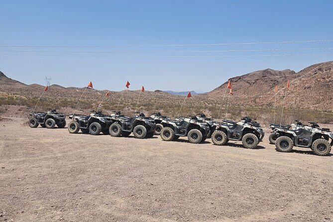 Las Vegas Desert Buggy & ATV Tour with Pickup - Key Points