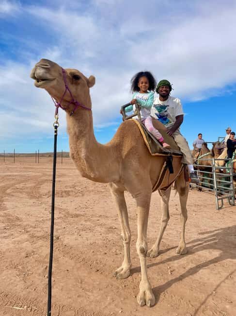 Las Vegas: Desert Camel Ride - What’s It Like for Different Travelers?