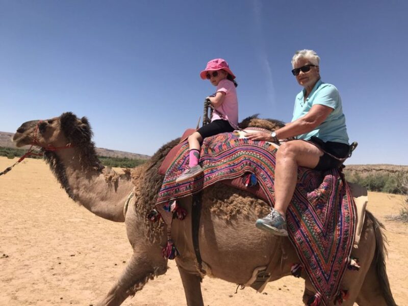 Las Vegas: Desert Camel Ride - Final Thoughts