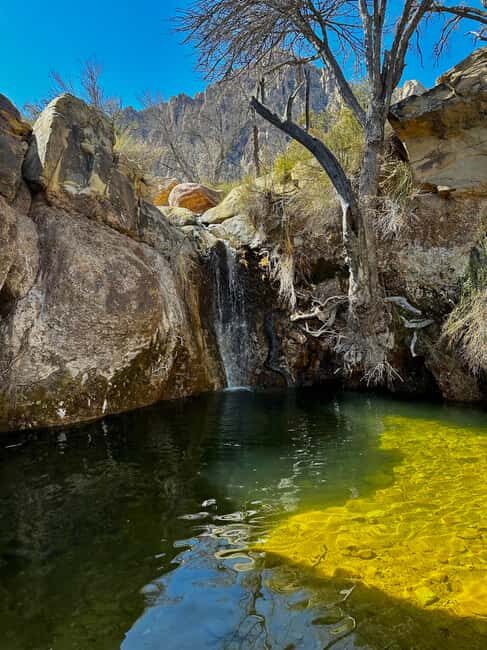 Las Vegas: Family Friendly Guided Hike to Emerald Falls - Key Points