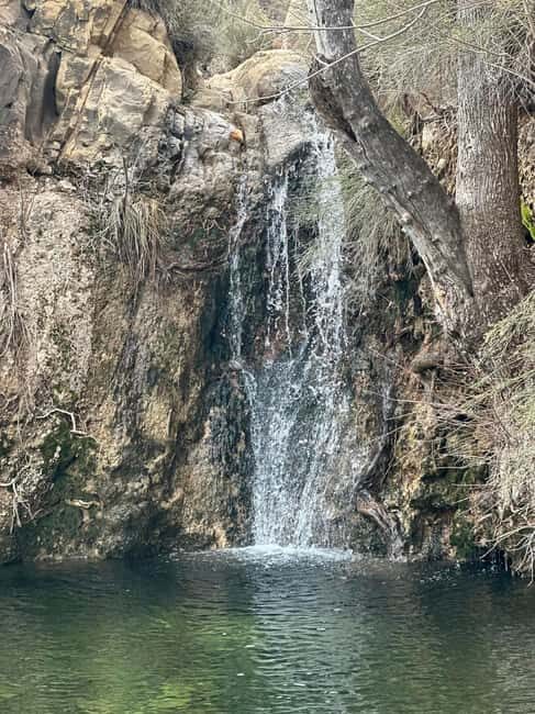 Las Vegas: Family Friendly Guided Hike to Emerald Falls - The Value of This Tour