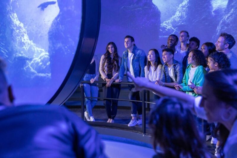 Las Vegas: Flyover in Las Vegas Experience Ticket - Key Points