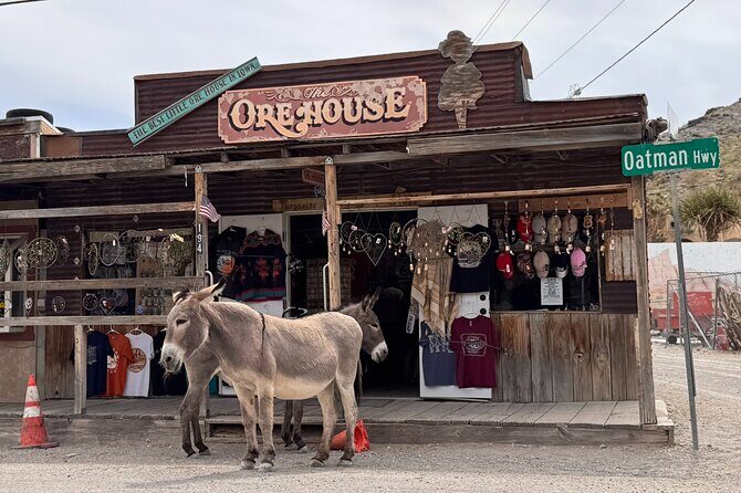 Las Vegas Ghost Town Tour and Historic Route 66 - Final Thoughts