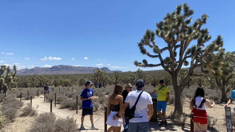 Las Vegas: Grand Canyon Helicopter & Ranch Adventure by Bus - What’s Included and What’s Not