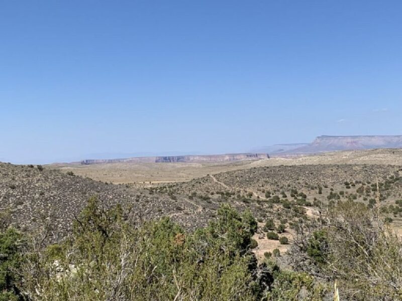 Las Vegas: Grand Canyon Helicopter West Rim Flight & Options - The Day in Detail: What to Expect