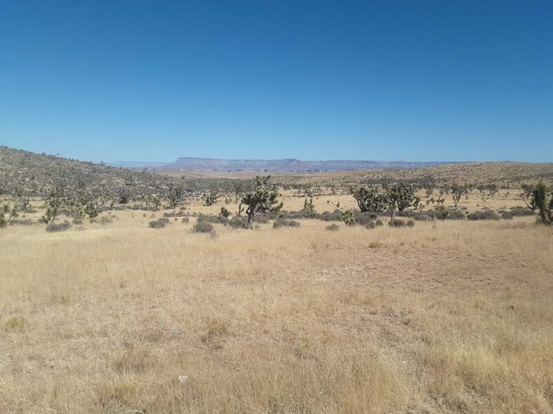 Las Vegas: Grand Canyon Helicopter West Rim Flight & Options - Who is This Tour Perfect For?