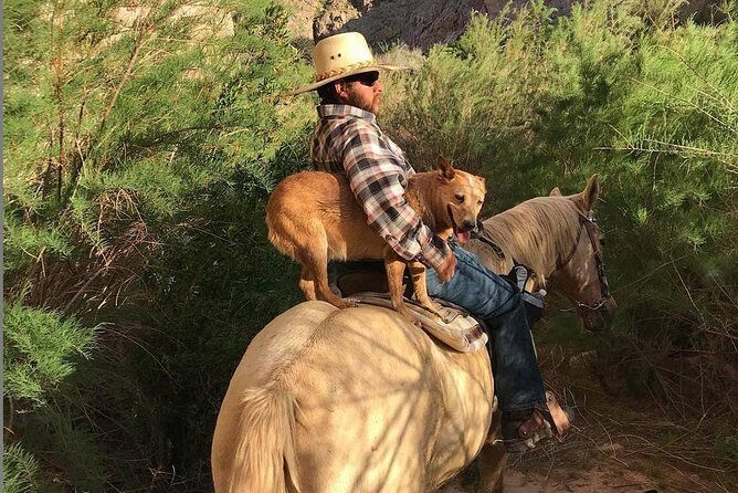 Las Vegas Horseback Ride with Meal - What You Can Expect from This Tour