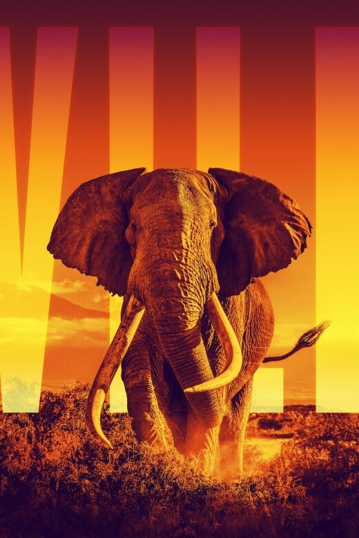 Las Vegas: Illuminarium Immersive Experience Tickets - Practical Tips for Visiting Illuminarium