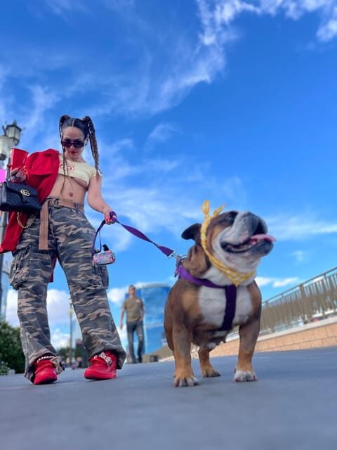 Las Vegas Luxe: Private Companion Experiences - Who Is This Experience Best For?